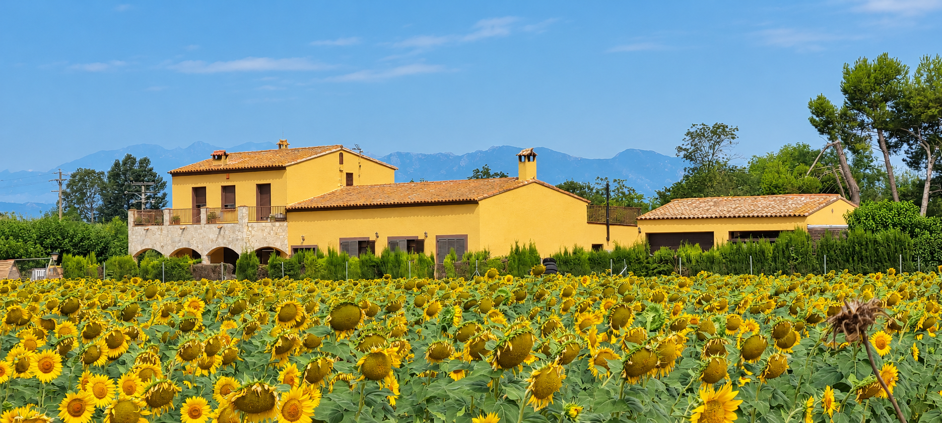 Mas les Cabretes con el campo de girasoles