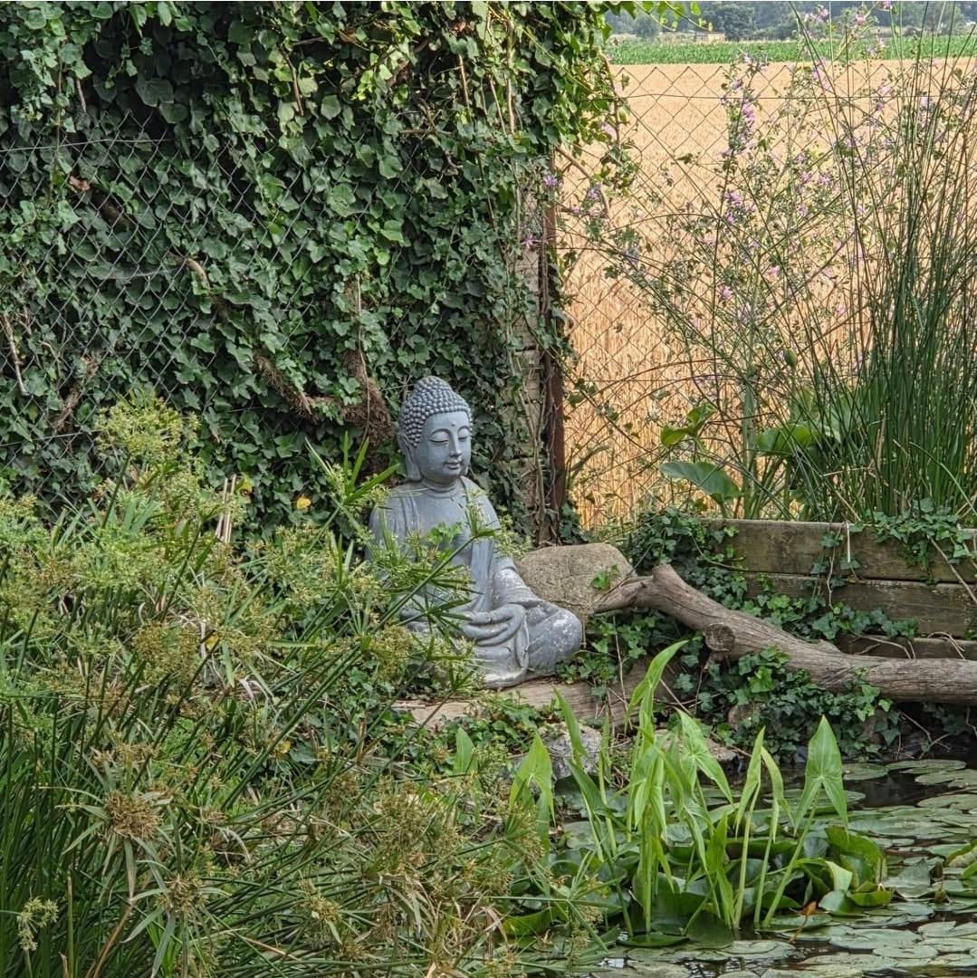 Rincón del jardín con estanque, plantas y figura de Buda
