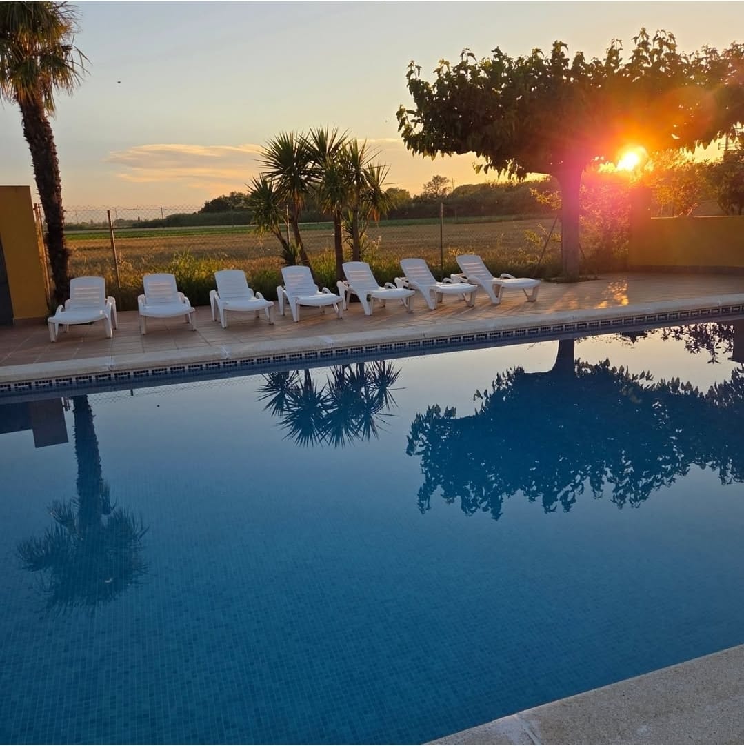 Piscina al atardecer con hamacas junto al campo