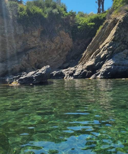 WhatsApp Image 2025-07-21 at 18.09.53