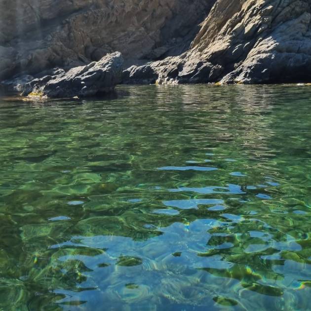 WhatsApp Image 2025-07-21 at 18.09.53