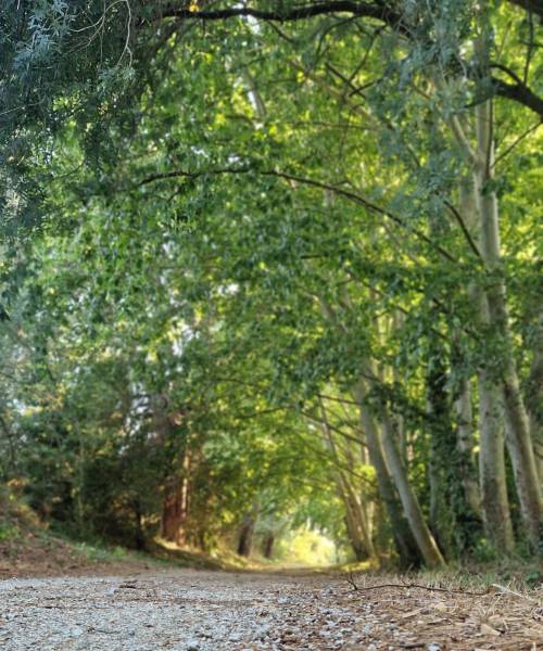 WhatsApp Image 2025-07-21 at 18.13.19